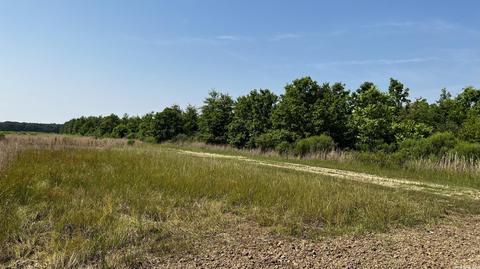 7007 70 Hwy, Brinkley, AR 72021 photo 22