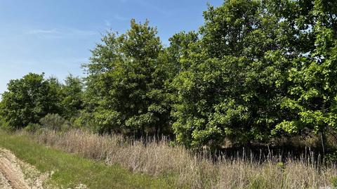 7007 70 Hwy, Brinkley, AR 72021 photo 35