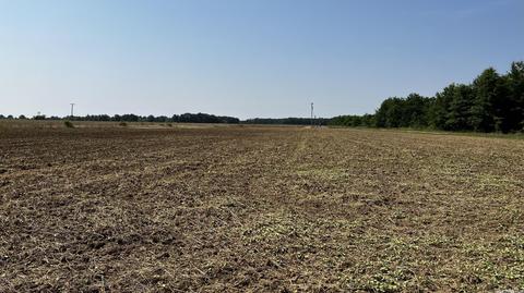 7007 70 Hwy, Brinkley, AR 72021 photo 18