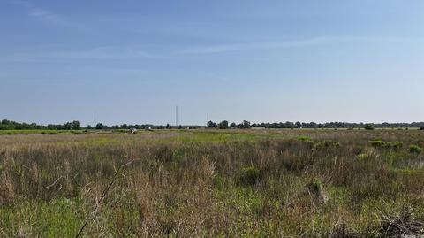 7007 70 Hwy, Brinkley, AR 72021 photo 31