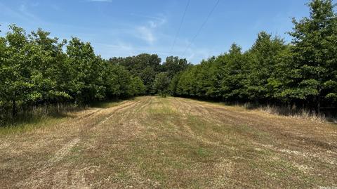 7007 70 Hwy, Brinkley, AR 72021 photo 23