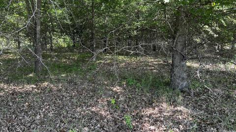7007 70 Hwy, Brinkley, AR 72021 photo 26