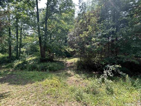 187 Maxine Rd, Clinton, AR 72031 photo 40
