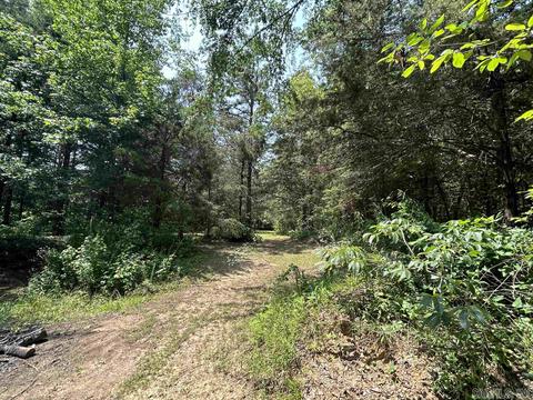 187 Maxine Rd, Clinton, AR 72031 photo 38