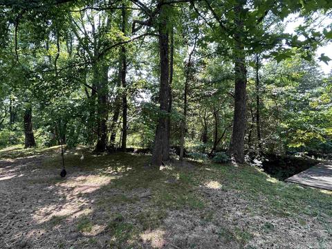187 Maxine Rd, Clinton, AR 72031 photo 32