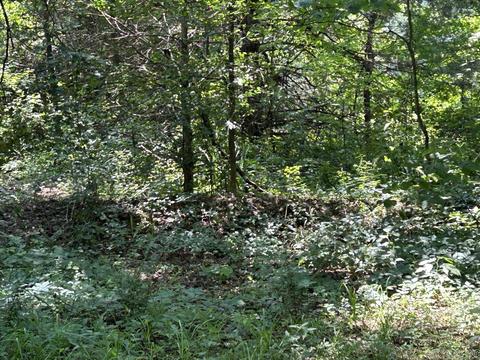 187 Maxine Rd, Clinton, AR 72031 photo 46