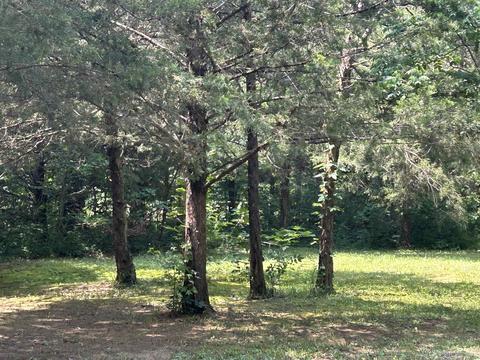 187 Maxine Rd, Clinton, AR 72031 photo 48