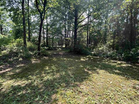 187 Maxine Rd, Clinton, AR 72031 photo 41