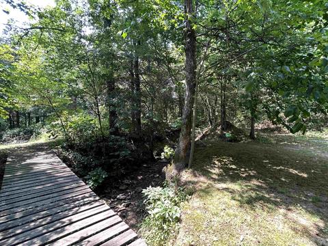 187 Maxine Rd, Clinton, AR 72031 photo 33