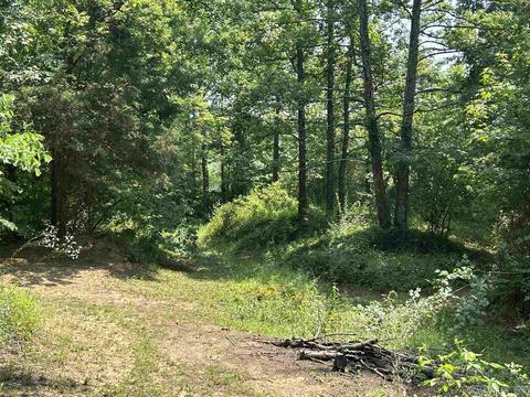 187 Maxine Rd, Clinton, AR 72031 photo 49