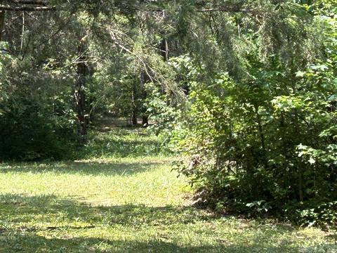 187 Maxine Rd, Clinton, AR 72031 photo 50