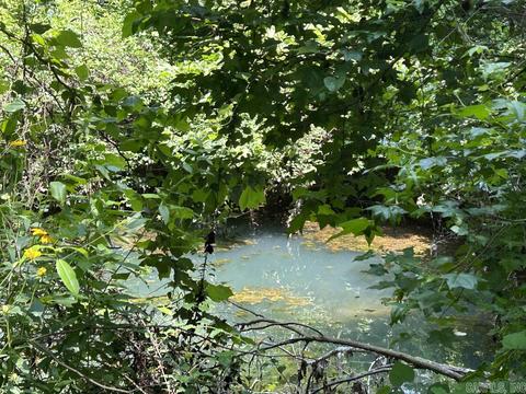 187 Maxine Rd, Clinton, AR 72031 photo 45