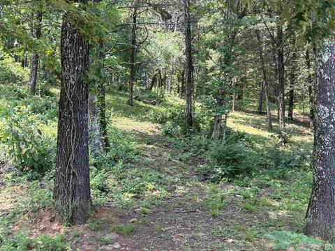 187 Maxine Rd, Clinton, AR 72031 photo 34