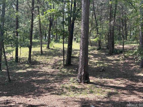 187 Maxine Rd, Clinton, AR 72031 photo 36
