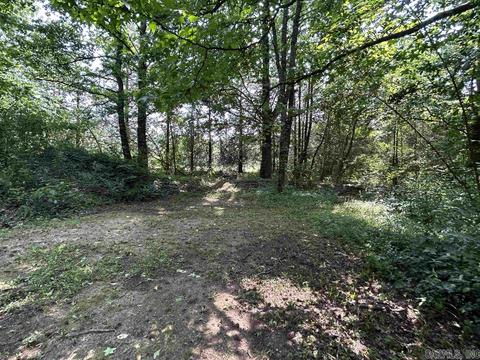 187 Maxine Rd, Clinton, AR 72031 photo 43
