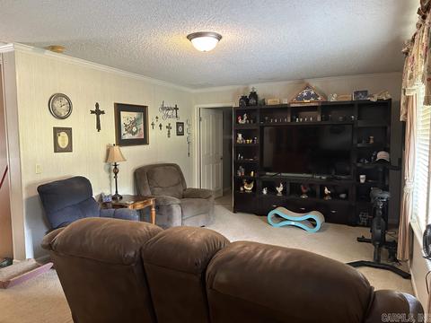 187 Maxine Rd, Clinton, AR 72031 photo 10
