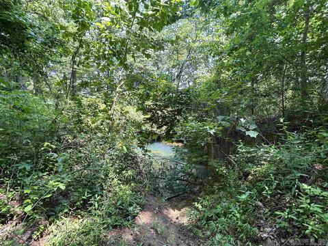 187 Maxine Rd, Clinton, AR 72031 photo 44