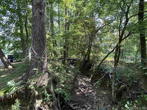 187 Maxine Rd, Clinton, AR 72031 photo 37