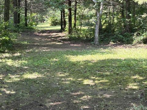 187 Maxine Rd, Clinton, AR 72031 photo 47