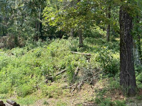 187 Maxine Rd, Clinton, AR 72031 photo 35