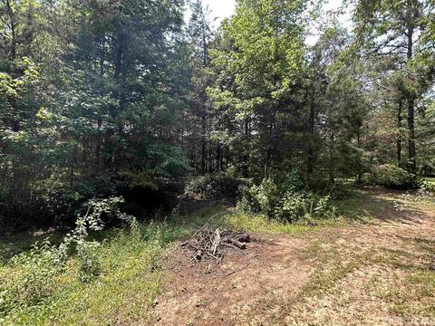 187 Maxine Rd, Clinton, AR 72031 photo 39