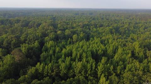 8847 Grant 14, Pine Bluff, AR 71603 photo 14