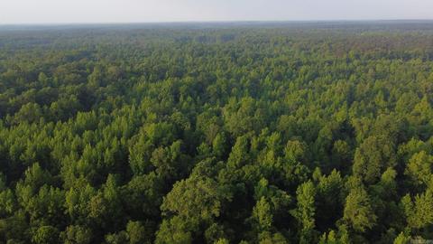 8847 Grant 14, Pine Bluff, AR 71603 photo 15
