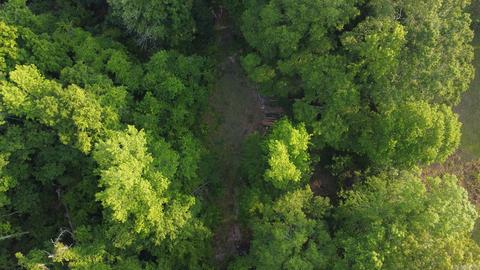 8847 Grant 14, Pine Bluff, AR 71603 photo 35