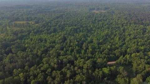 8847 Grant 14, Pine Bluff, AR 71603 photo 2