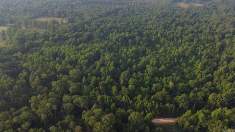 8847 Grant 14, Pine Bluff, AR 71603 photo 25