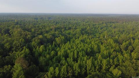 8847 Grant 14, Pine Bluff, AR 71603 photo 13