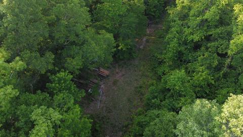 8847 Grant 14, Pine Bluff, AR 71603 photo 37
