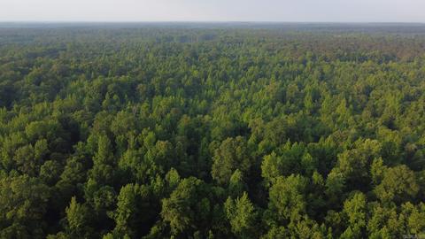 8847 Grant 14, Pine Bluff, AR 71603 photo 16