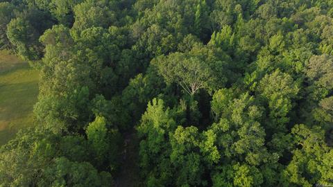 8847 Grant 14, Pine Bluff, AR 71603 photo 30