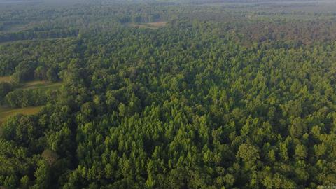 8847 Grant 14, Pine Bluff, AR 71603 photo 18