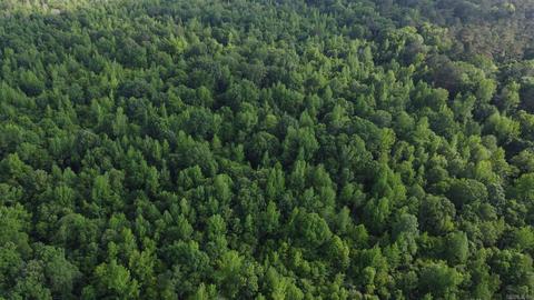 8847 Grant 14, Pine Bluff, AR 71603 photo 9