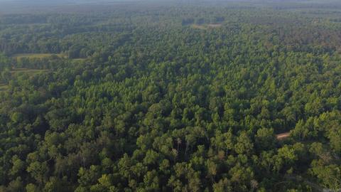 8847 Grant 14, Pine Bluff, AR 71603 photo 26