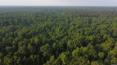 8847 Grant 14, Pine Bluff, AR 71603 photo 17