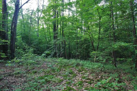 8847 Grant 14, Pine Bluff, AR 71603 photo 39