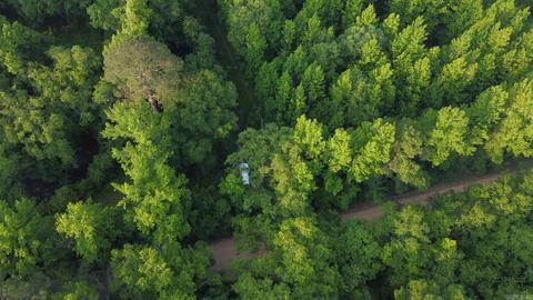8847 Grant 14, Pine Bluff, AR 71603 photo 27