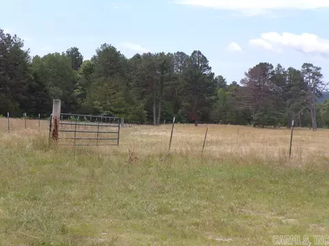 809 Prince Loop, Mountain View, AR 72560 photo 4