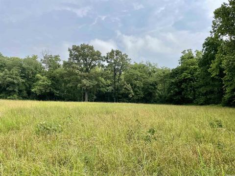 675 Cooley Rd, Mount Pleasant, AR 72561 photo 41
