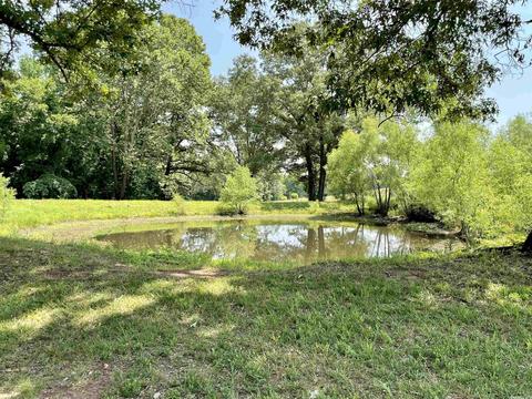 675 Cooley Rd, Mount Pleasant, AR 72561 photo 38