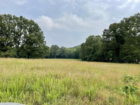 675 Cooley Rd, Mount Pleasant, AR 72561 photo 43