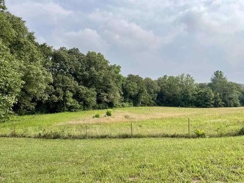 675 Cooley Rd, Mount Pleasant, AR 72561 photo 44