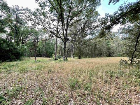 675 Cooley Rd, Mount Pleasant, AR 72561 photo 45