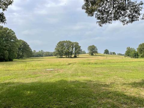 675 Cooley Rd, Mount Pleasant, AR 72561 photo 39