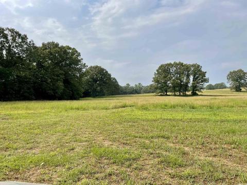 675 Cooley Rd, Mount Pleasant, AR 72561 photo 37