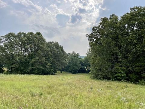 675 Cooley Rd, Mount Pleasant, AR 72561 photo 42