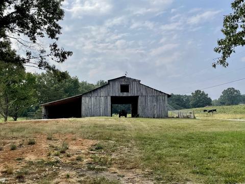 675 Cooley Rd, Mount Pleasant, AR 72561 photo 30